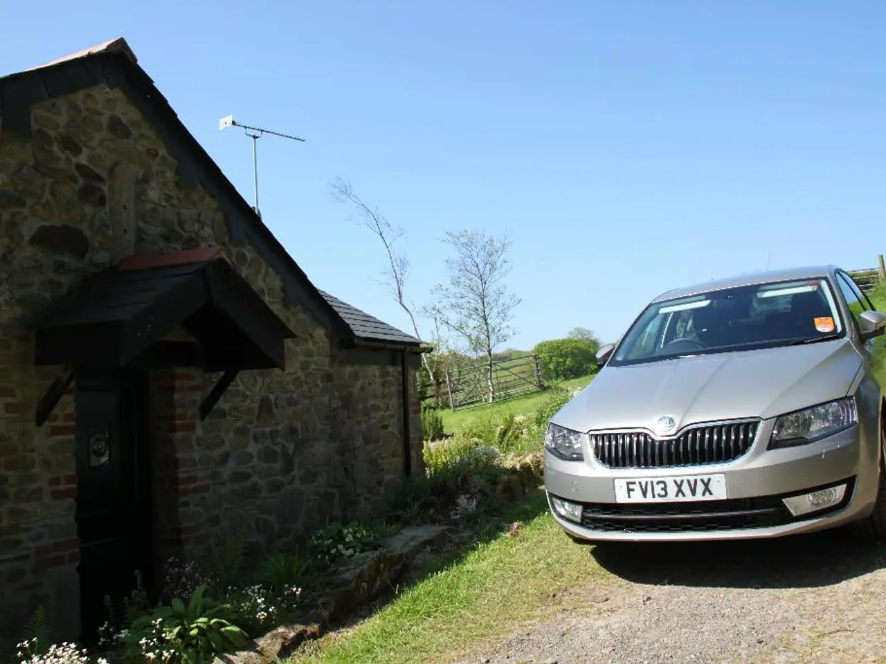 The rationale behind implementing eco-friendly choices