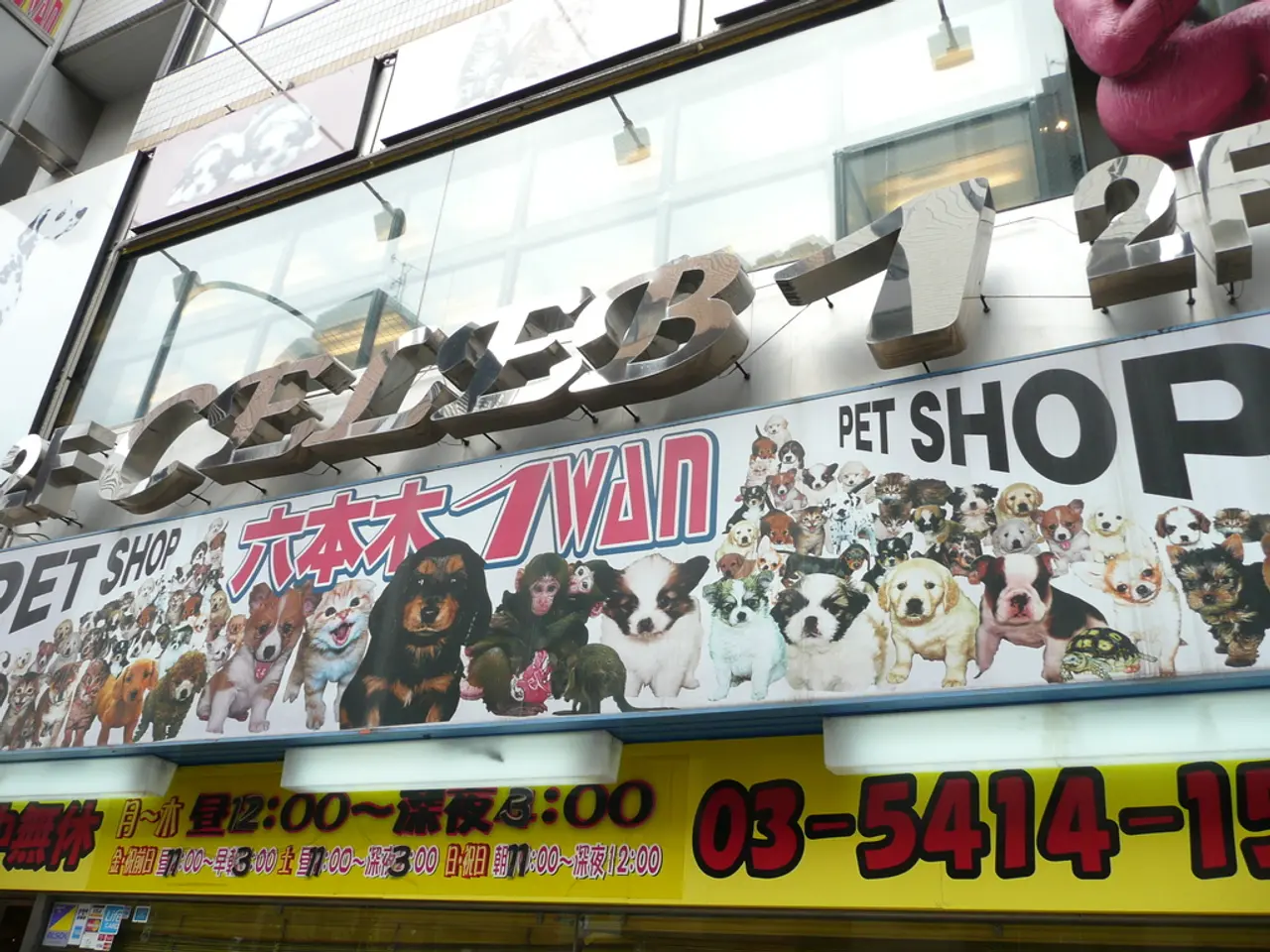 Cleaning up social media platforms, relieving stress by discarding sentimental items