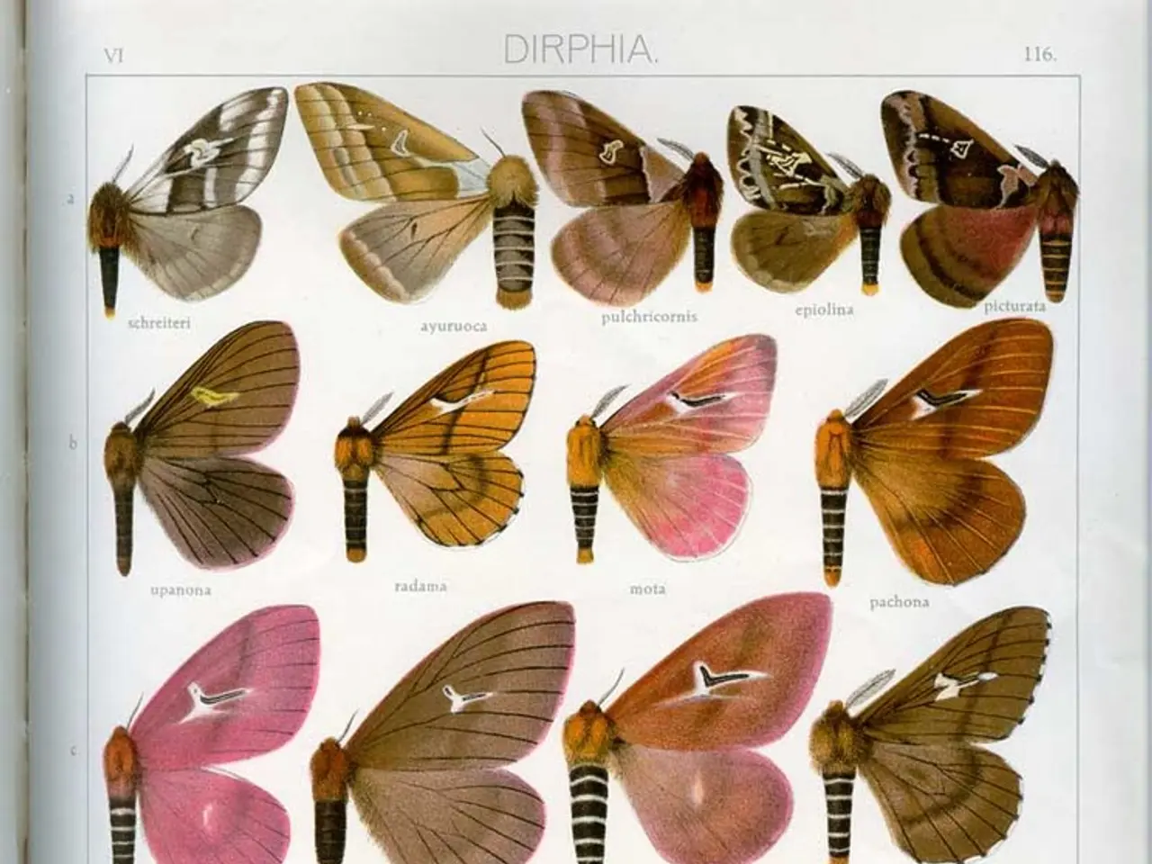 Inspiring Math Concepts Drawn from Nature to Ignite Awe in Outdoor Learning