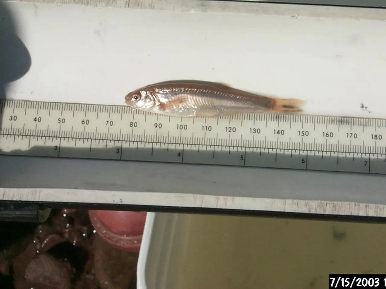 Time Prioritization Framework: Achieving Optimal Productivity Through Effective Prioritization