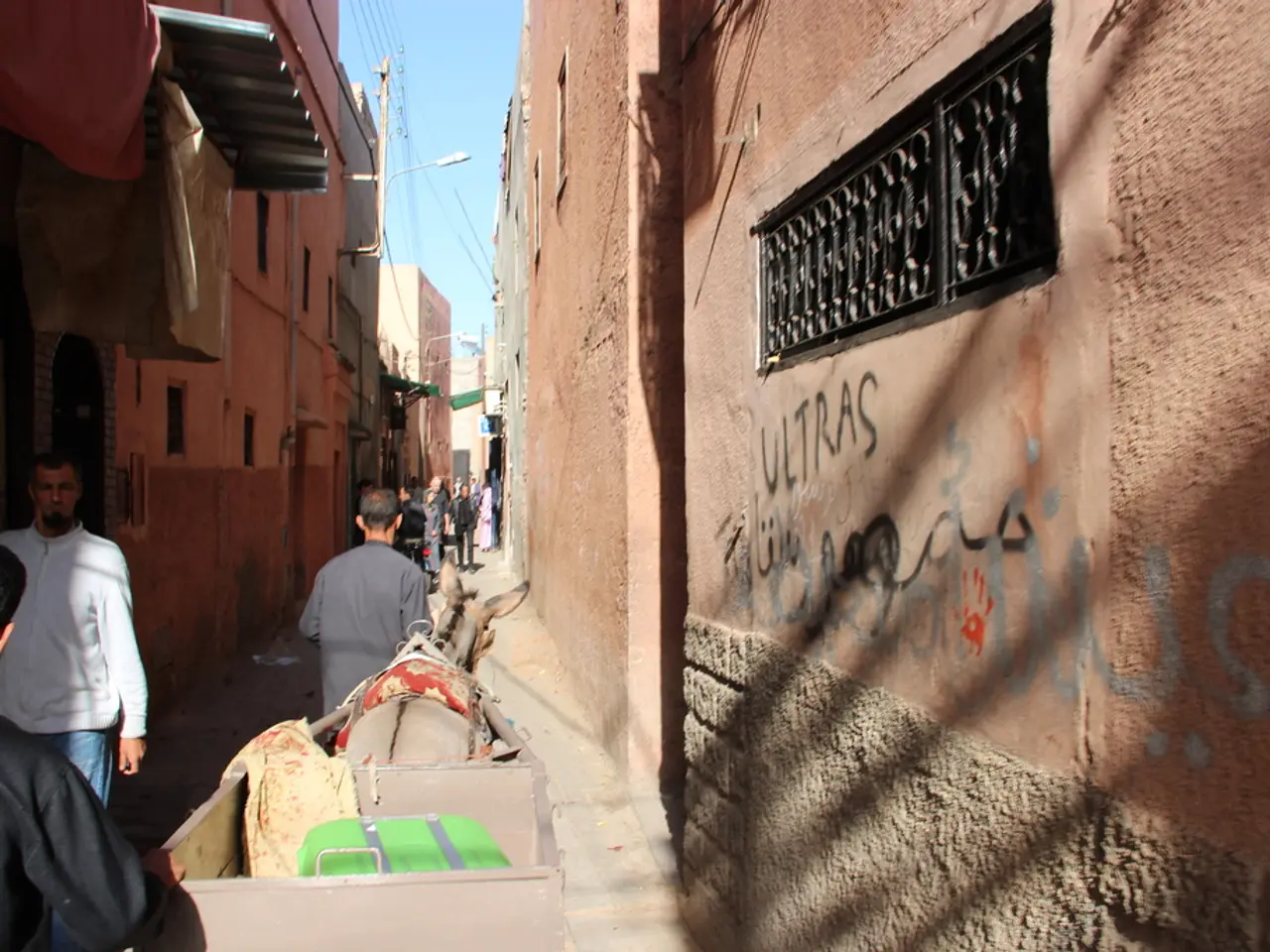 Designing Information Graphics Using Kōwhai