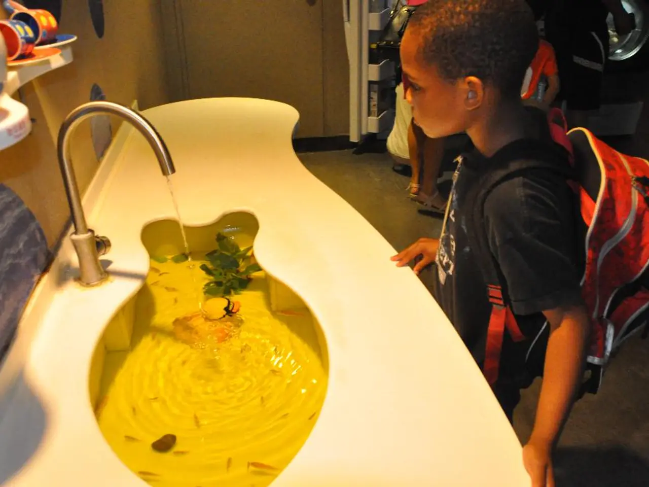 Small Prince Raja Kecil Besar Perak, alongside numerous others, affected by jellyfish encounters...