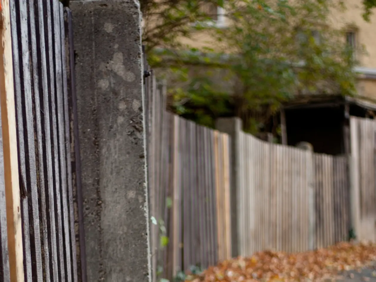 Techniques for refining Cascade and Literati styles in Bonsai cultivation