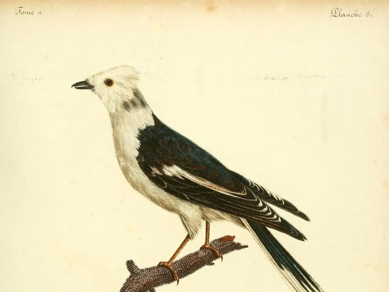 Blunder leads to substantial setback