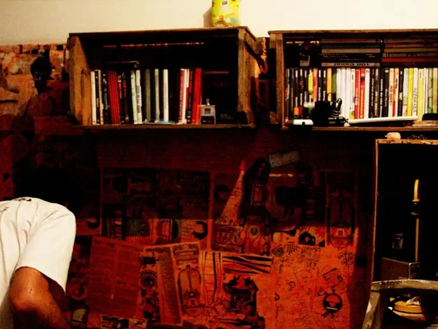 Prominent Online Personality Labeled is Mischaracterized