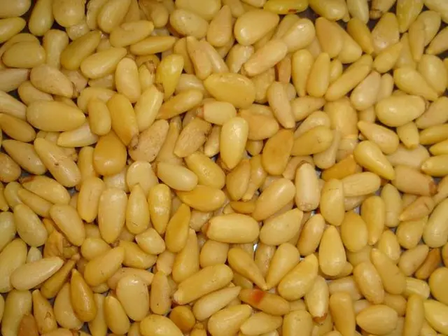 Biomass Resources in Northwestern Ohio Region