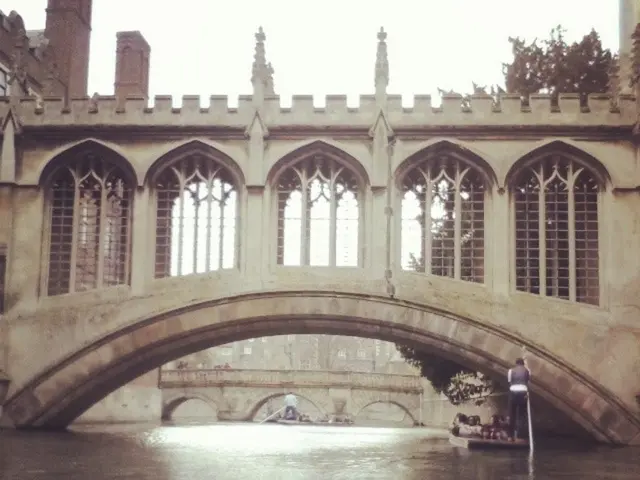 Anticipated Outcomes in an RN to MSN Transition Program