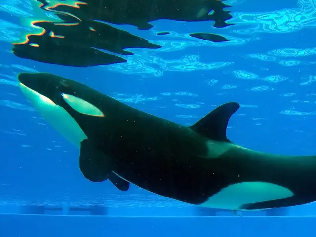 People expressing a desire to form friendships