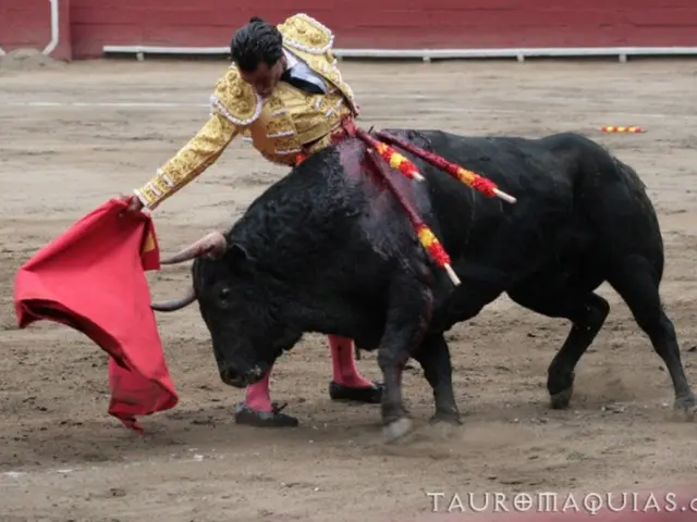 Multiple individuals suffer harm during the initial bullfight held in Pamplona