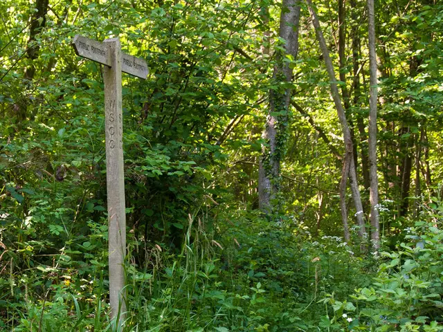 Choosing Vocabulary or Phrases