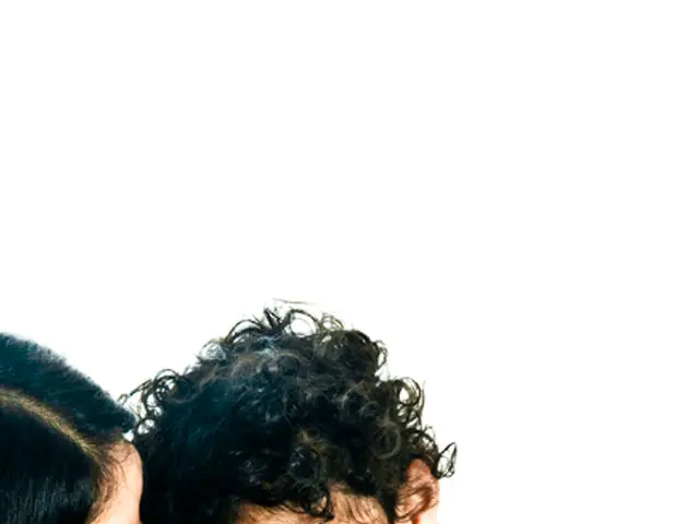 Socio-economic variables shaping Nigerian family dynamics