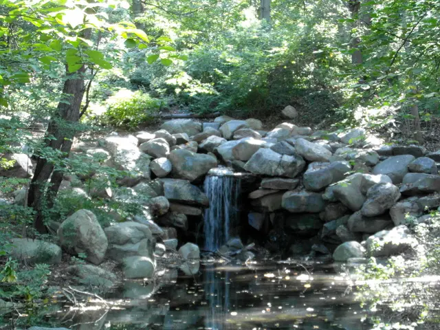 Interpreting Dream Symbolism