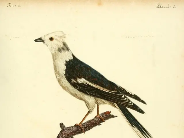 Filmmaker Peter Jackson to Revive the Extinct Moa Species