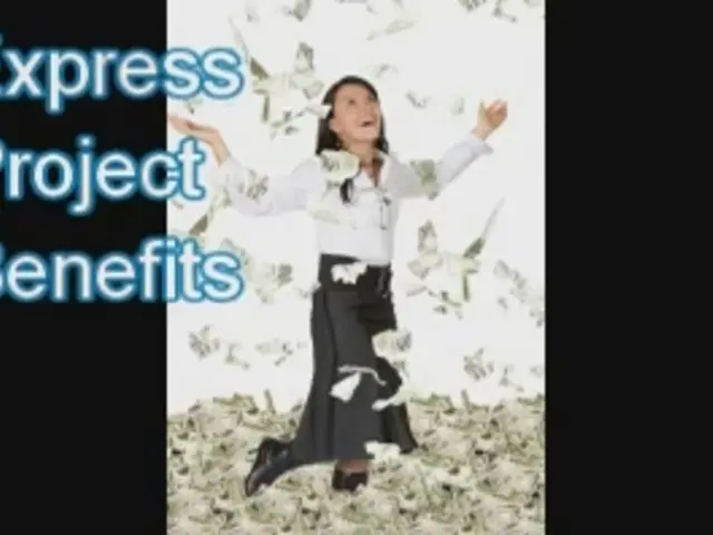 Debriefing: Why hasn't mixed financing fulfilled its anticipated potential?