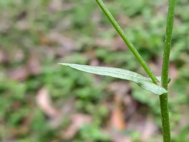 Igniting Africa's scientific future, Intelsat leverages innovative STEM training