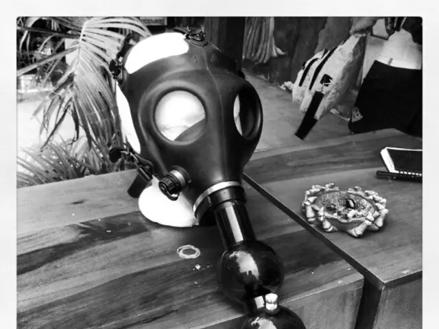 Navigating the Insightful Corn Maze Learning Process of Photosynthesis