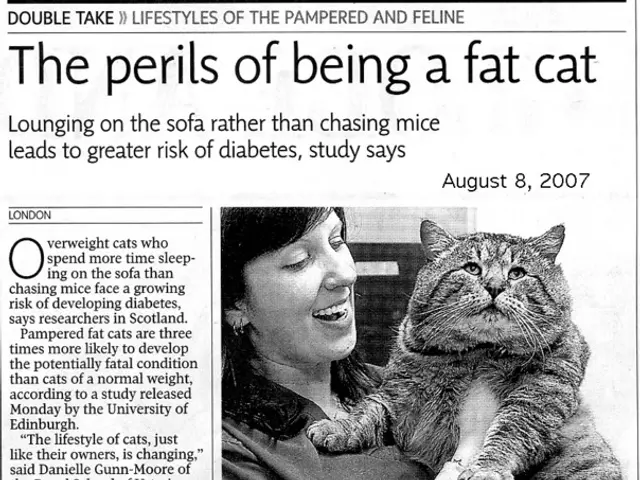 Differentiating Coronavirus from the Flu: A Guide