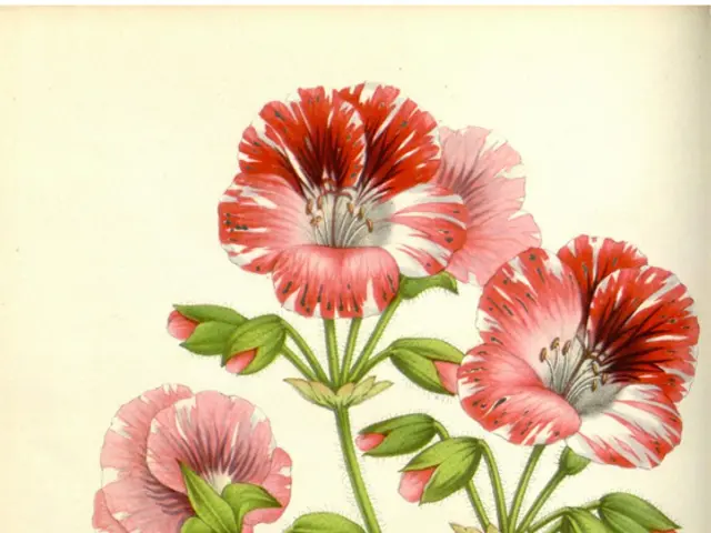 Delving into the Essence of Creativity: An In-depth Analysis of Thoughts, Artworks, and Novelty