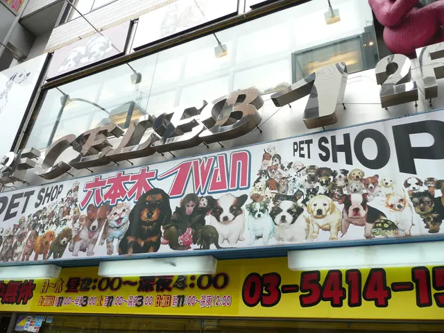 Cleaning up social media platforms, relieving stress by discarding sentimental items