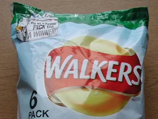 Exploring Wondr Health: An Overview and Identifying Its intended Audience