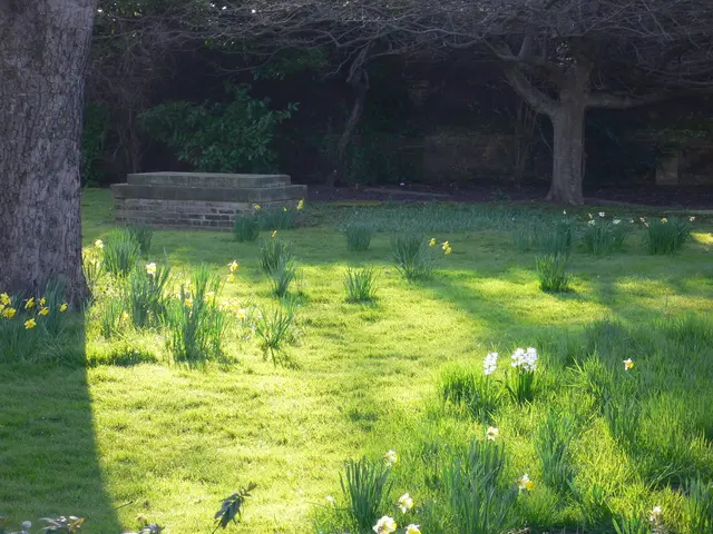 Unveiling The Garden: Decoding the Secret Symbols in Your Slumber