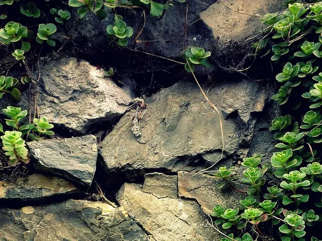 Unraveling the Secrets of Dioptase – A Comprehensive Guide to Gem-A's Collection of Gemstones and...