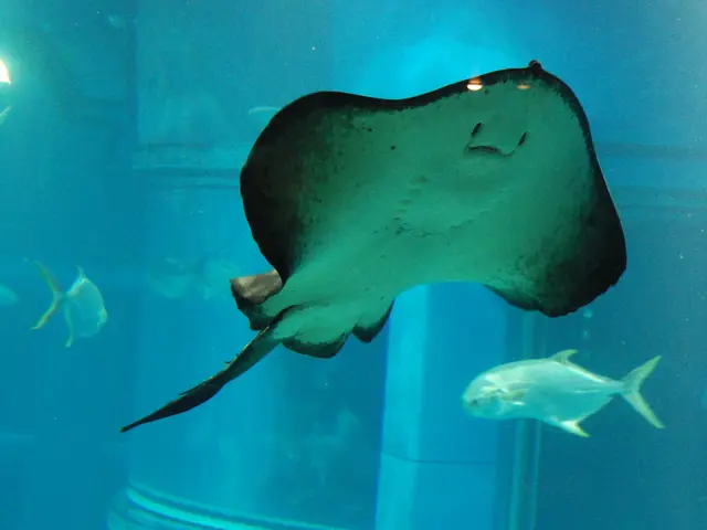 Survey Participant Assumes Instructor Role on Southeast Fishery Study