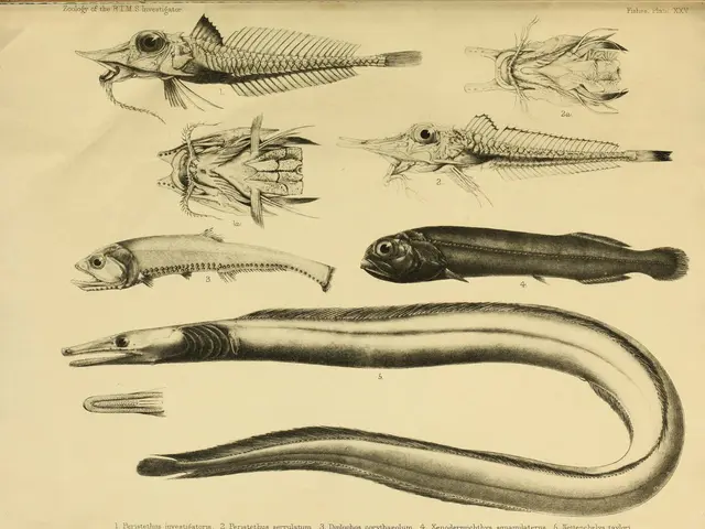 Prehistoric Top-Tier Predators Engaged in Lethal Clashes, According to Research Findings