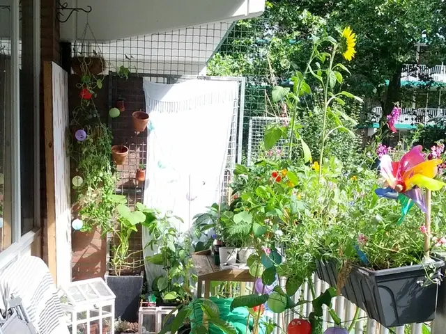 Blossoming Period of Pencils, Prospects, and New Seedings