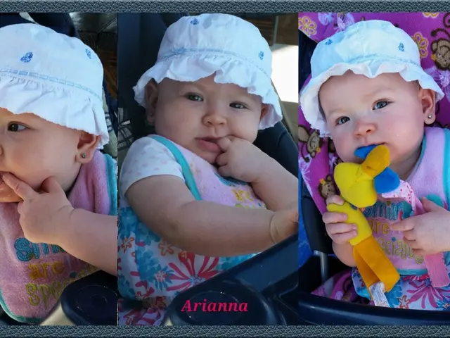 Pupils fashion inclusive playthings and grasp fundamental rules of a fair social system