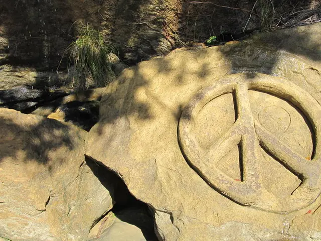 Initiating Guide for Integration of Quartz Impurities