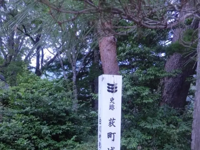 Exploring Logarithmic Equations Using Different Base Values