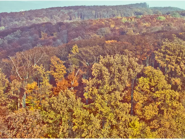 "Green occupations training announced by BiZ Hotline!"