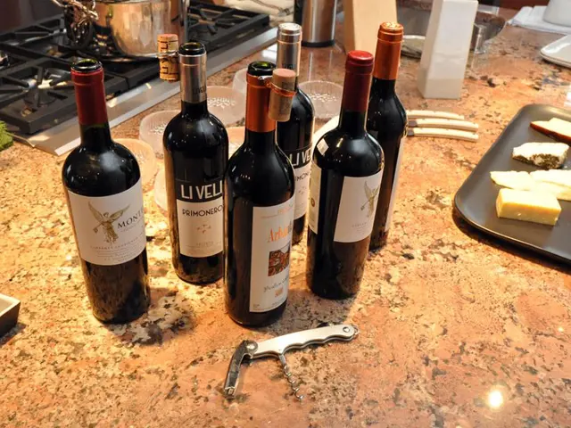 Top 5 kitchen design applications to help you visualize your perfect culinary sanctuary