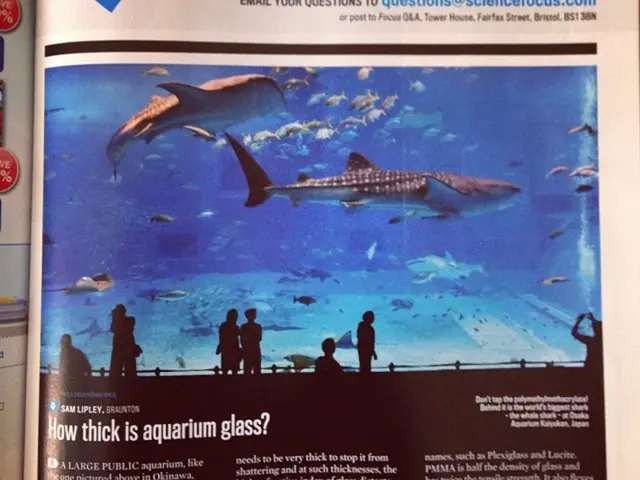 Genetic Links Revealed: Why Humans Share More Similarities with Salmon than Sharks, Understanding...