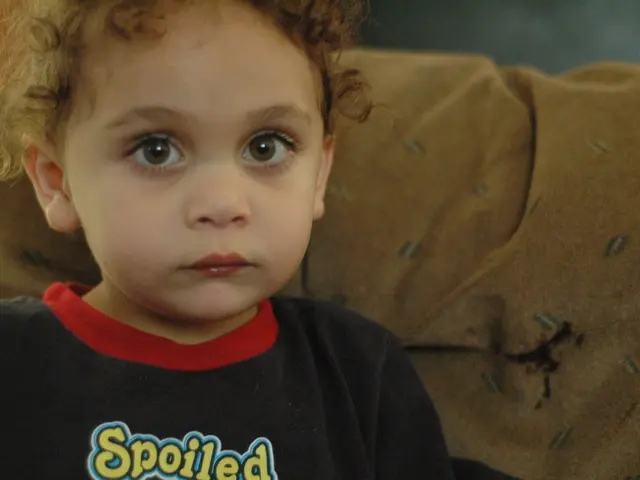 Intense commotion at Luitpold Gymnasium: almost climactic event concludes without substantial...