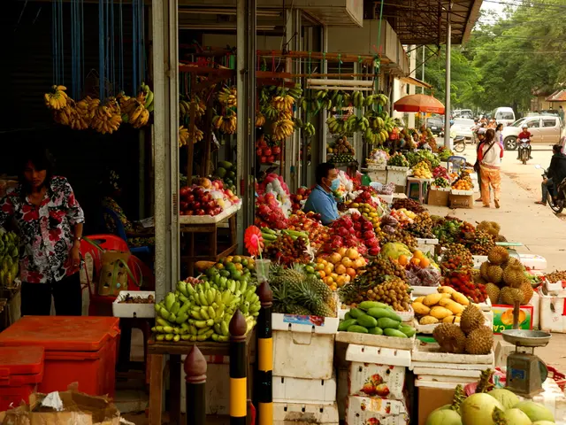 Global Demand for Matcha Outstrips Japanese Production Capacity