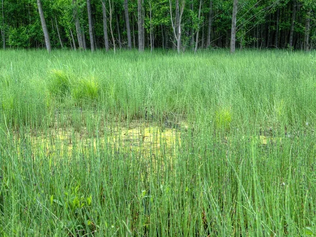 Tamil Actor Siva Karthikeyan Speaks of Farmers of the Future