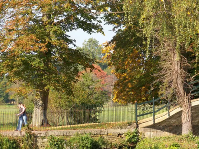 Exploring Educational Journeys through Nature Walks, Encouraging Inspiring Wild Encounters