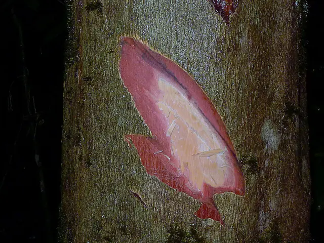 Unveiling the Significance of STEM Learning: Career Paths and Exciting Endeavors