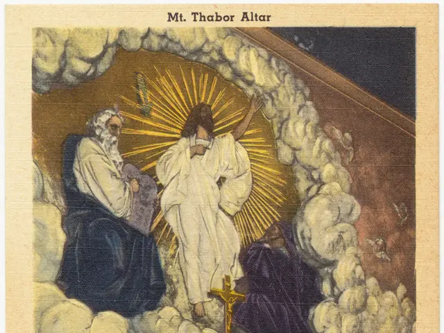 2025 AP DSC Cutoff Scores: Find Category-wise Minimum Requirements to Pass