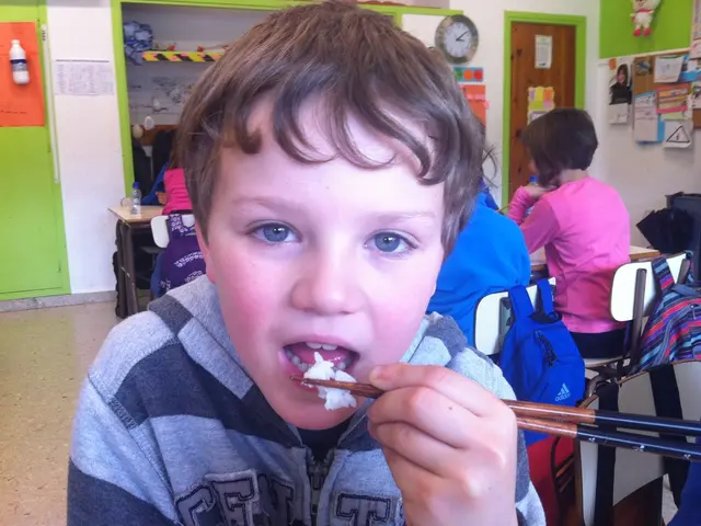 Contested Terrains: The Persistent Controversy Surrounding School Meals