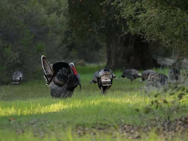 Party affiliated with AK marks 24 years of governing authority in politics