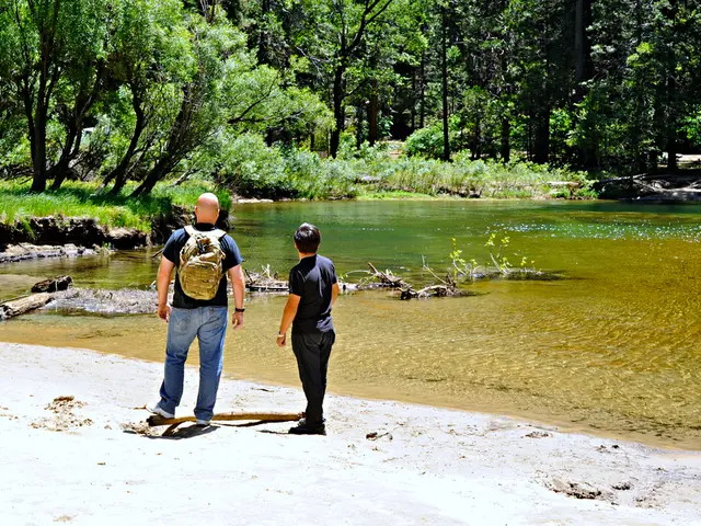 UK Banks Ranked: Top and Bottom Performers in Online Banking Revealed