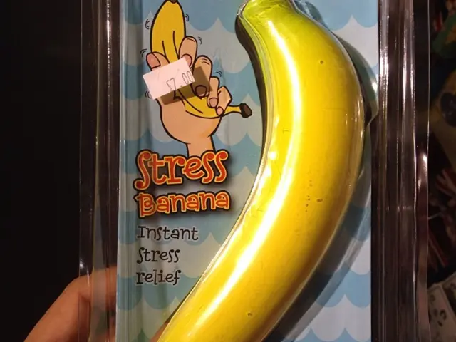 Impact of Prolonged Stress on Cognitive Functions and Brain Structure