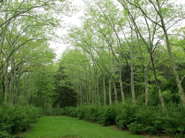 Farming Handbook Focusing on Co-Existent Livestock and Plant Life Sustainability Strategies