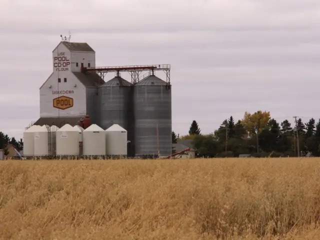 Strategy of BP's shift faced scrutiny