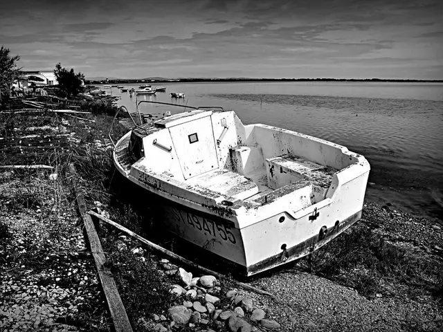 Top 25 Ocean-Related Activities, Explorations, and DIY Projects