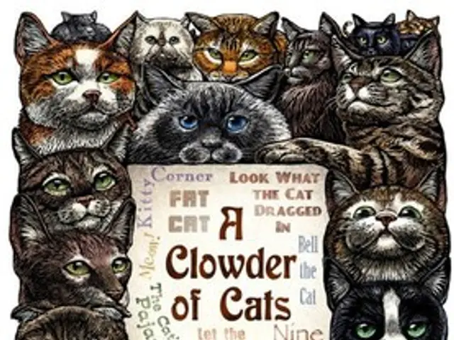 EU Commission Introduces Plan to Encourage Online Advocacy for EU Residents