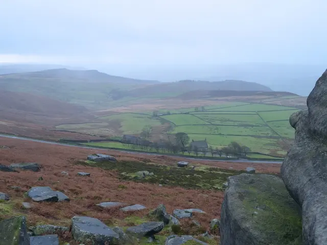 Immigrants Witness Sinking of Pateras and Observed Treatment Upon Arrival, as Described by Writer...